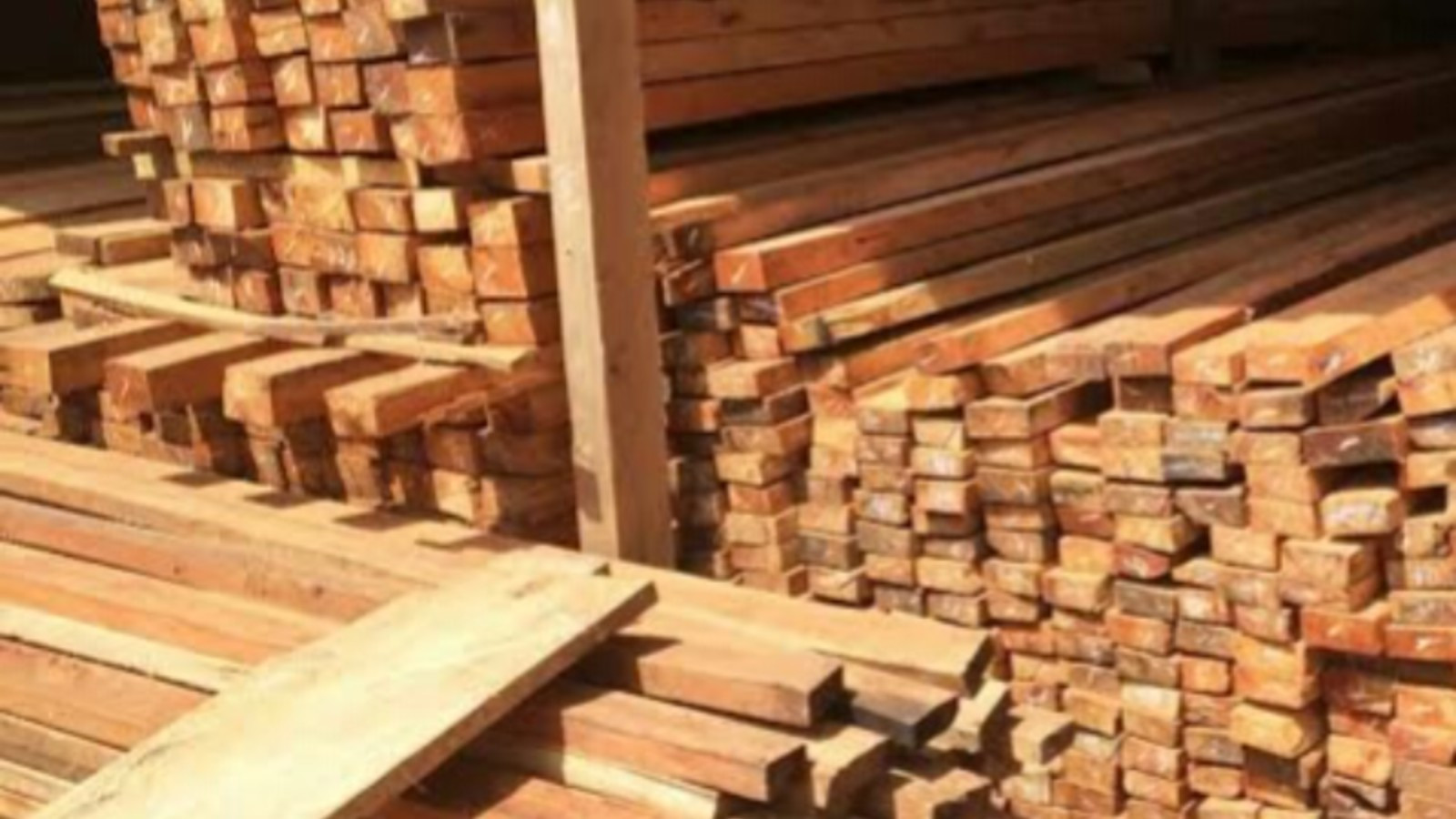 GENERIC hardwood Timber- Buliti