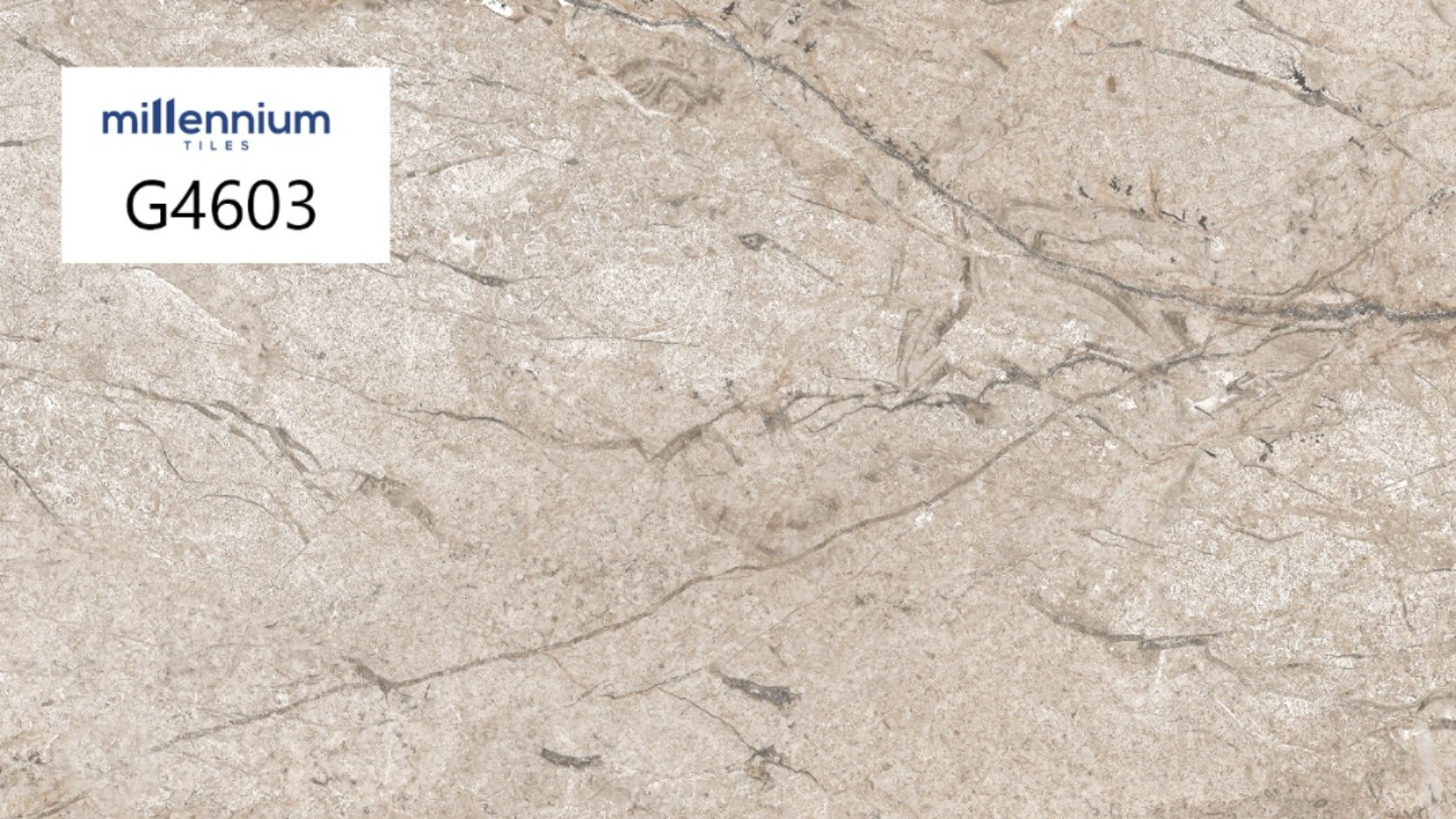 G4603 Floor tile