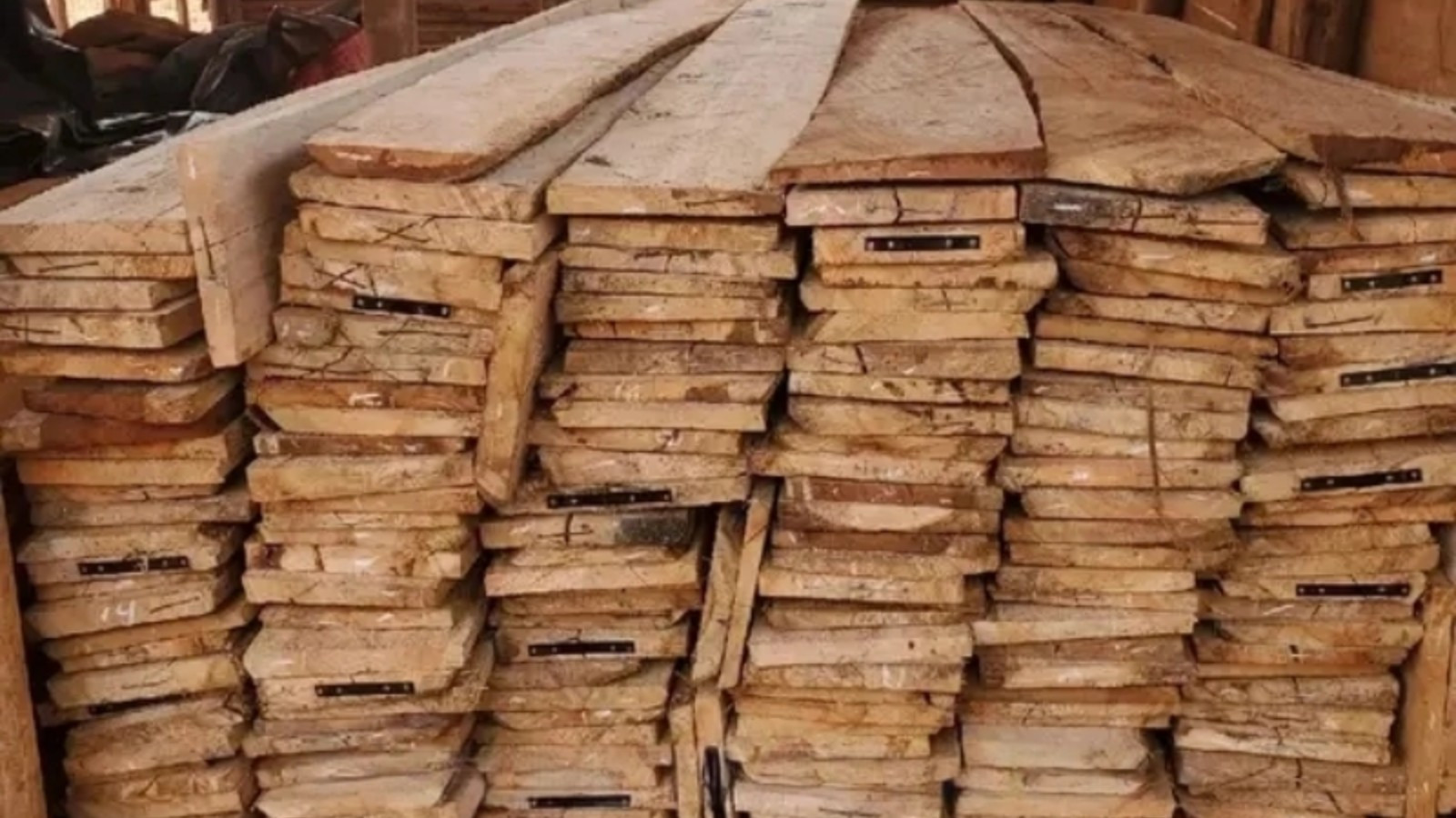 14ft Generic Soft wood