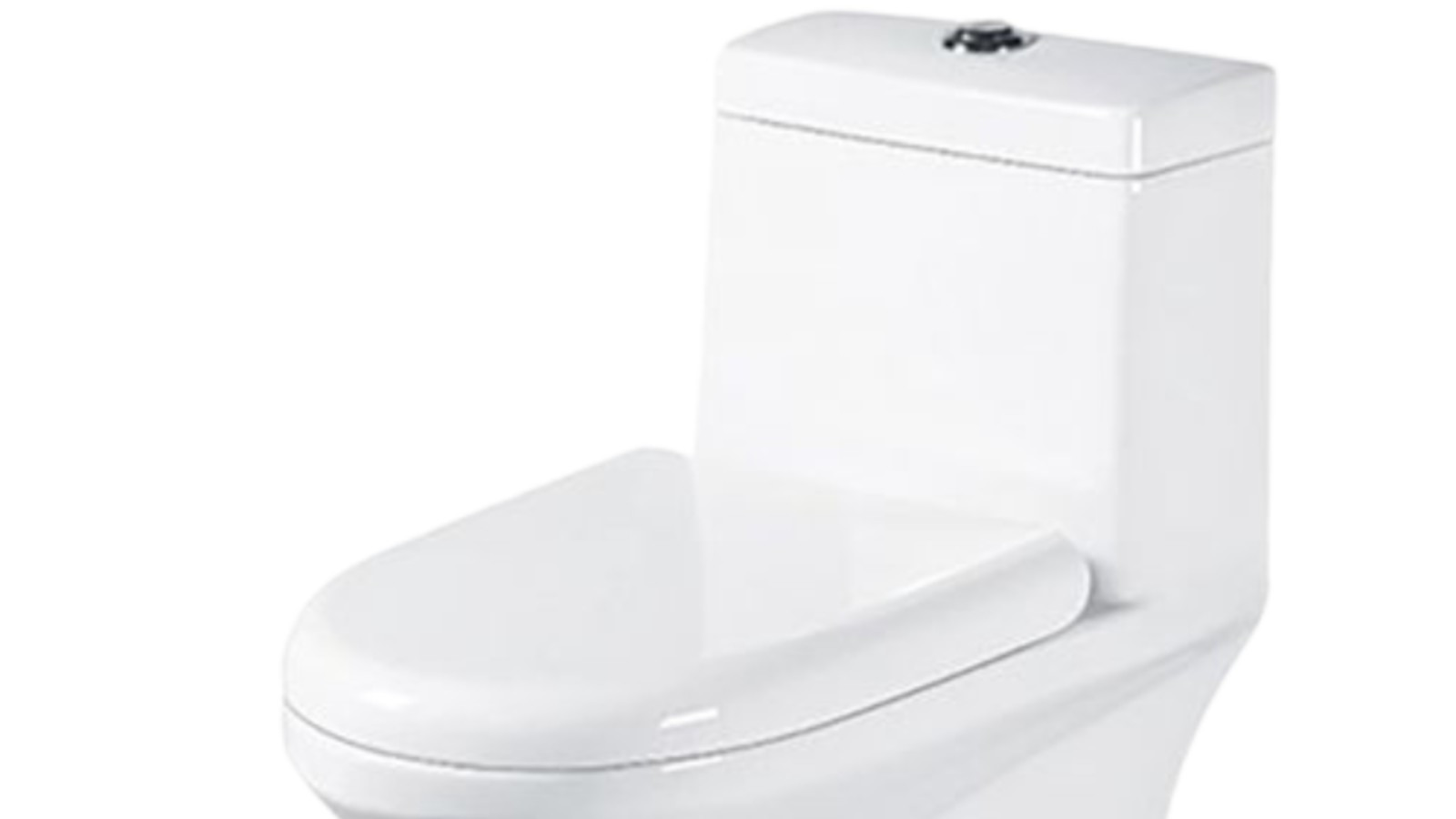 Generic one-piece Toilet