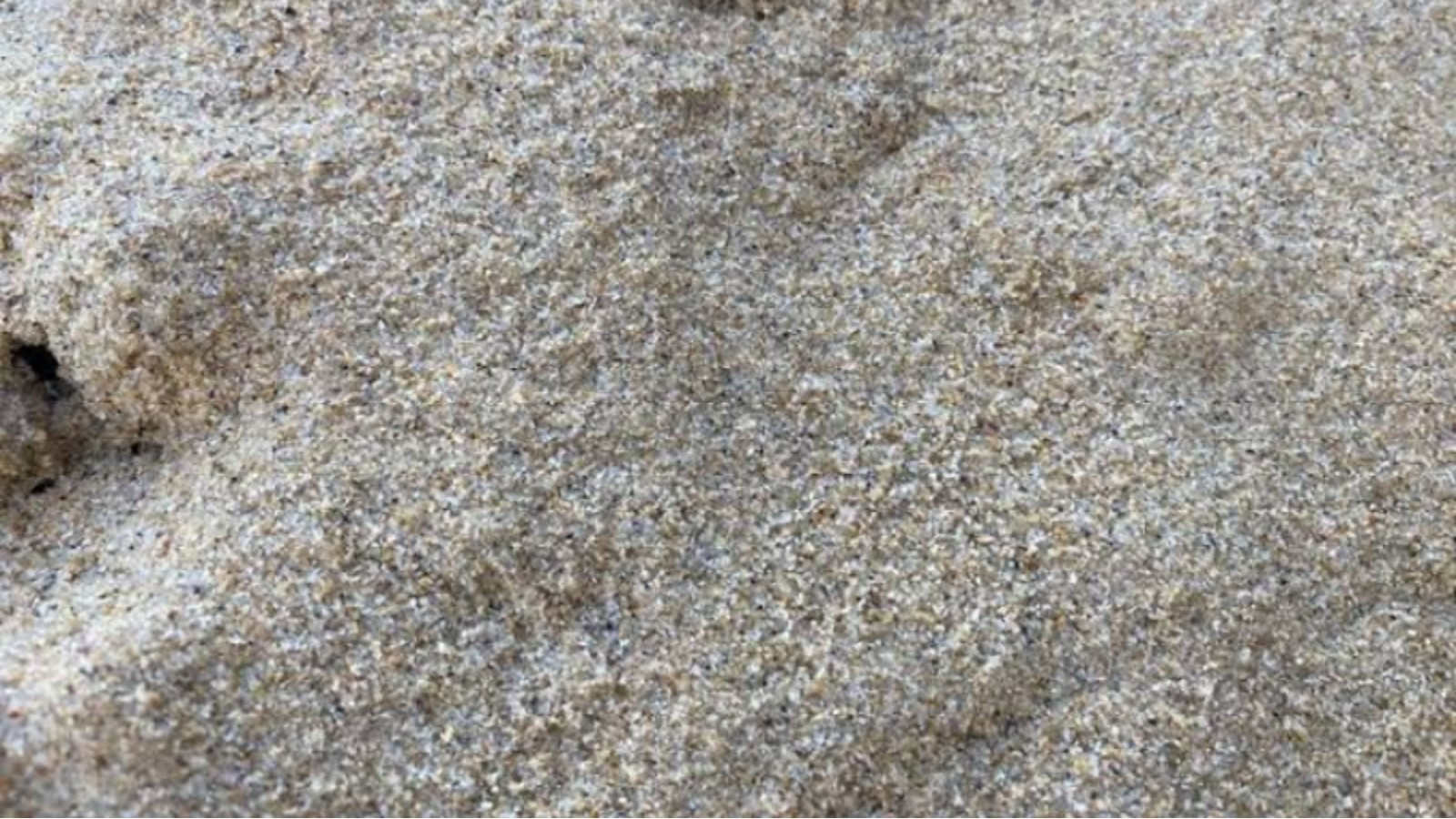 Lweera White Lake Sand