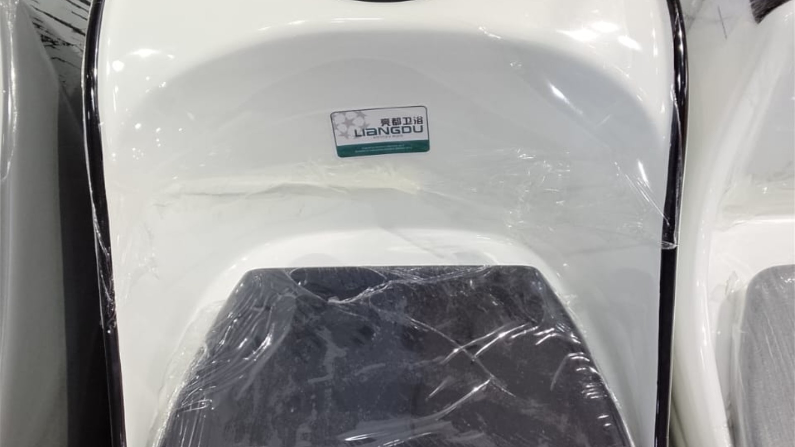 Liagdu concealed toilet