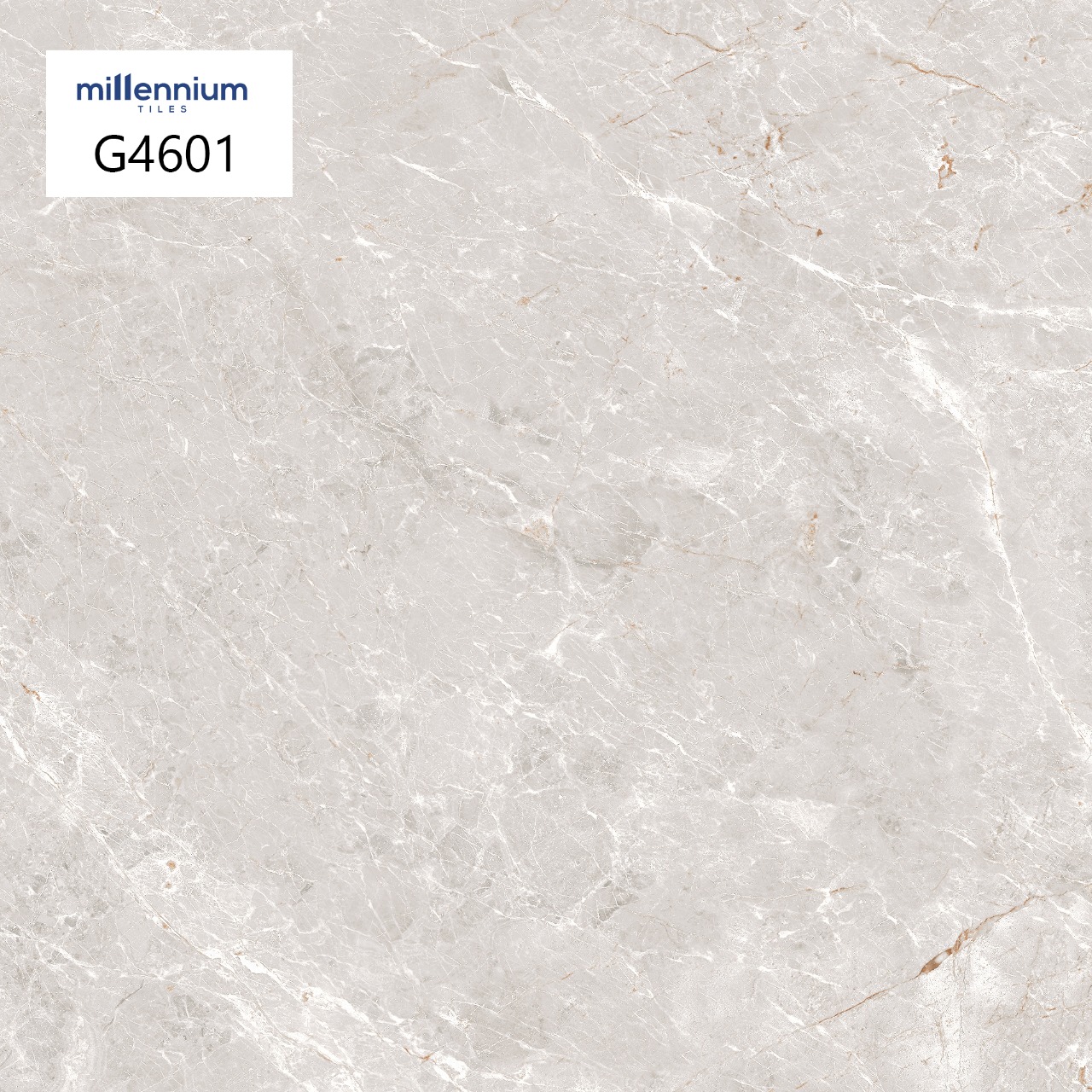 G4601 Floor tile