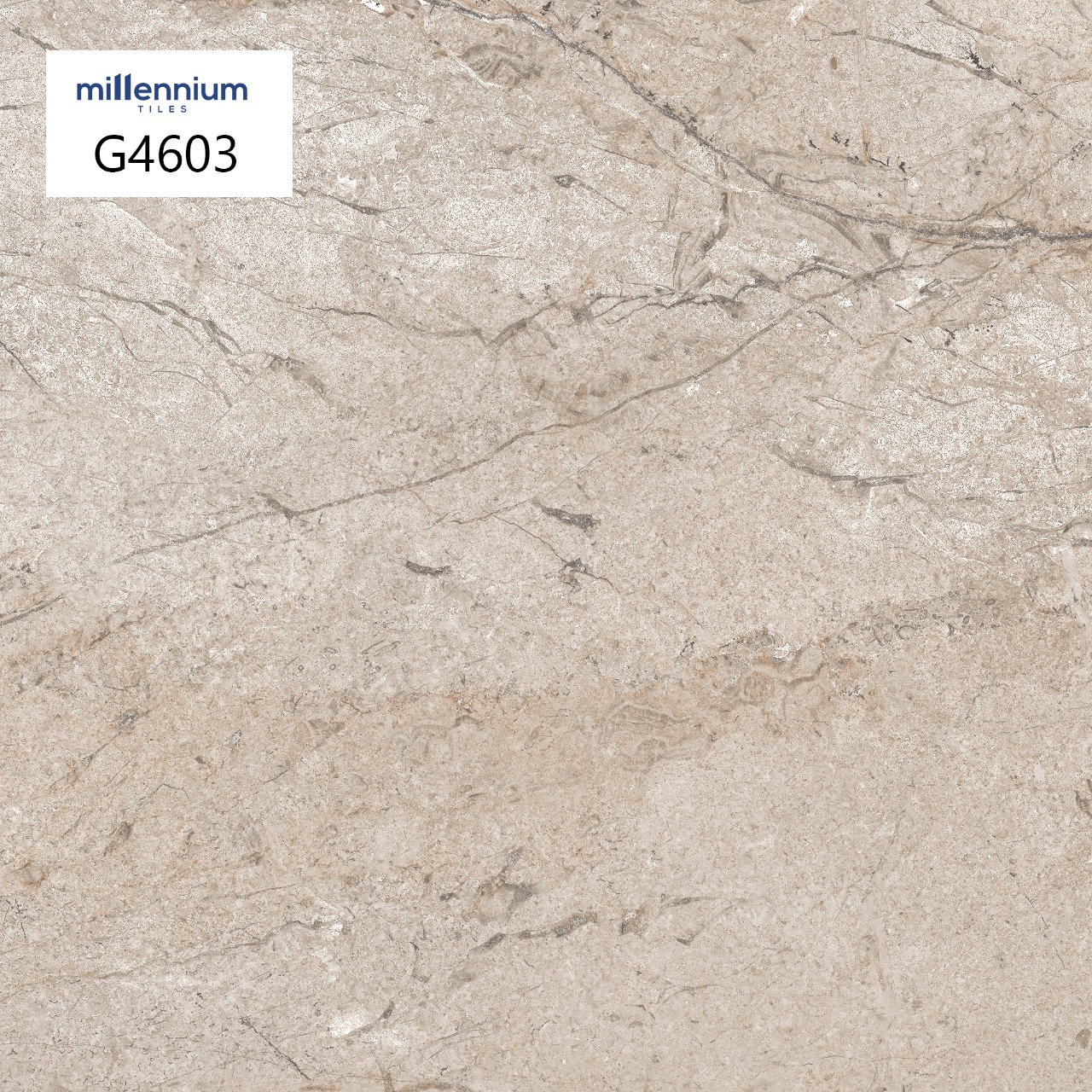 G4603 Floor tile