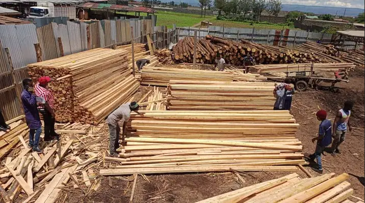 10 ft Assorted Roofing Timber